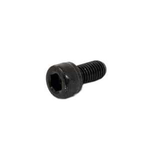 Elliptical Screw 020082-00