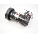 Treadmill Drive Motor (replaces 1000106039) 1000111822