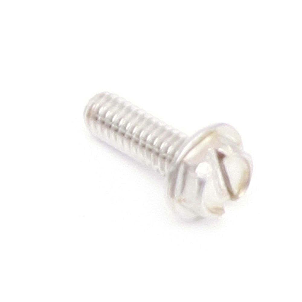 Boat Motor Screw