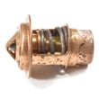 Boat Motor Thermostat