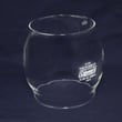 Coleman Glass Lantern Globe R690B051