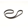 Belt for Nautilus 202 - Part 18068