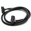 Exercise Cycle Wire Harness, 12-wire 8003165