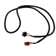 Treadmill Wire Harness, Lower for Nautilus 100496 - Part 8011992