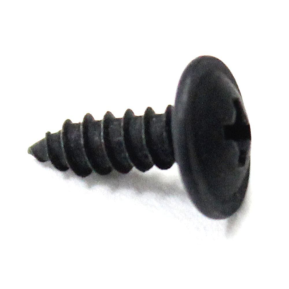 Part #123325, Healthrider Belt Guide Screw