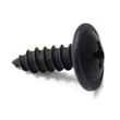 Belt Guide Screw 123325