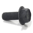 Exercise Equipment Flange Screw