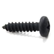 Exercise Equipment Screw 167049
