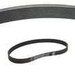 Treadmill Drive Belt for Image IMTL19901 - Part 170288