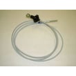 Weight System Cable, Short (replaces 126803)