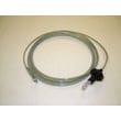 Weight System Cable, Long (replaces 157536) 179212