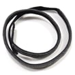 Resistance Strap for Lifestyler 831288720 - Part 183890