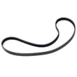 Lifestyler Exercise Cycle Drive Belt 189293