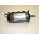 Treadmill Drive Motor (replaces 198235) 405588