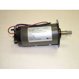 Treadmill Drive Motor (replaces 198235) 405588