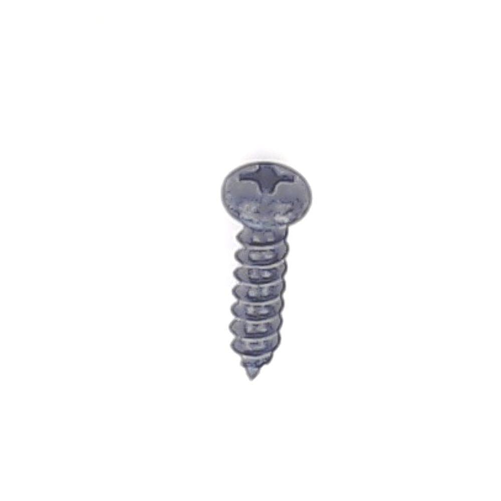 Elliptical Console Screw