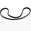 Exercise Cycle Drive Belt 211011