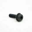 Elliptical Screw