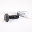 Elliptical Screw 249938