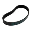 Motor Belt 319256