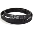 Drive Belt 1773601