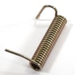Discharge Spring 1910971