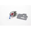 Line Trimmer Carburetor 545006060