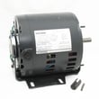 Motor (gray) 12037