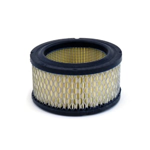 Lawn & Garden Equipment Engine Air Filter, 2-pack 16404