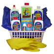 Whink Complete Home Care Kit for Sears WHINK - Part 49014