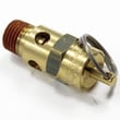 Safety Valve SV25200
