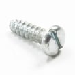 Screw 2910211025