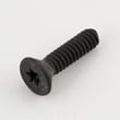 Screw 320359