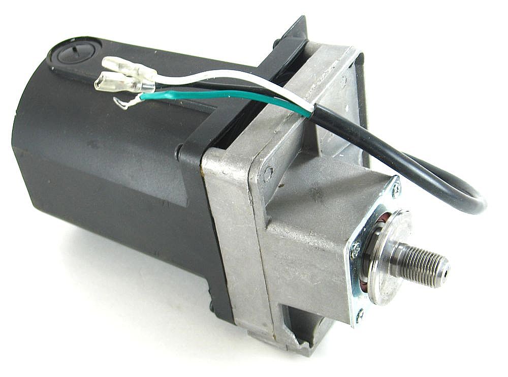 剥製 狸と小さなテン？ Yahoo!オークション -「たぬき 剥製