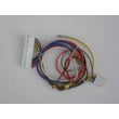 Garage Door Opener Wire Harness 41C4246