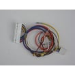 Garage Door Opener Wire Harness for Craftsman 13953628SRT1 - Part 41C4246