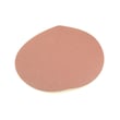 Sander Sanding Pad 16731.00