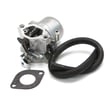 Briggs & Statton Lawn & Garden Equipment Engine Carburetor for Briggs & Stratton 219977-0130-B1 - Part 590399