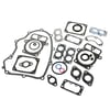 Lawn & Garden Equipment Engine Gasket Set (replaces 499889) 694012