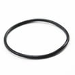 O-ring 091537