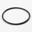 O-ring DP500461
