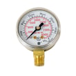 Gauge 9006025