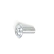 Screw 190010-401