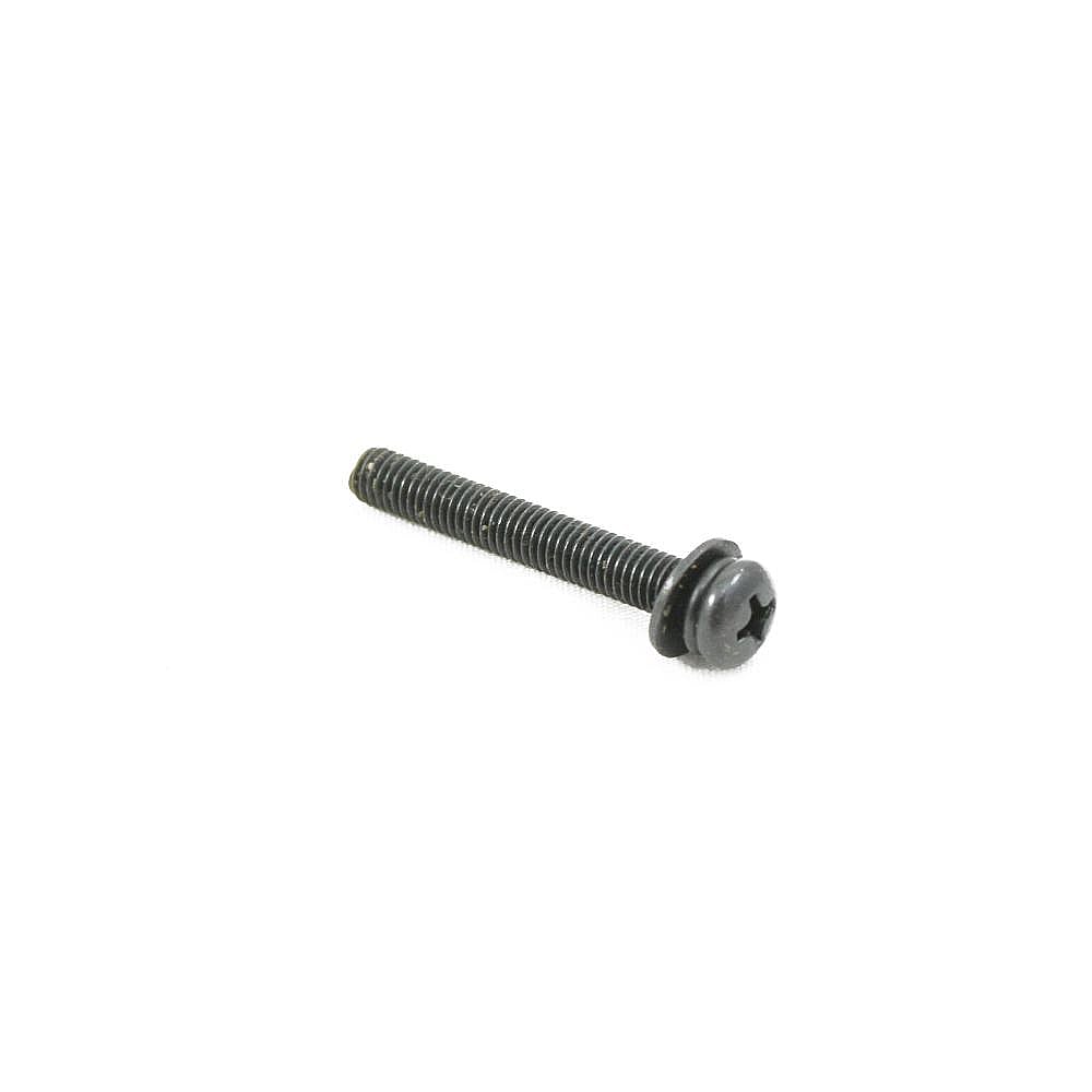 Washer Screw