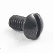 Screw 613931-004