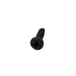 Screw 641700-008