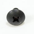 Miter Saw Screw 976564001