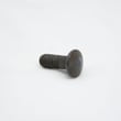 Screw 977095-001