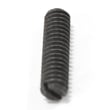 Set Screw 989594-003