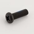 Screw A10003060186